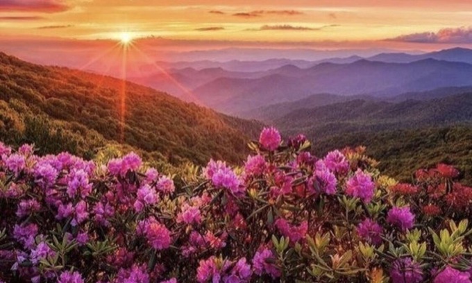 Asheville Casa | Monthly Discounts! Power/Water/Wifi/Near Mission Hospital and Biltmore Village.