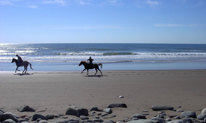 East Lawrencetown Casa | Moonlight Beach Suites