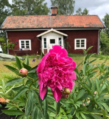 Moklinta Casa | Mormors stuga har charmigt torrdass och utedusch i trädgården