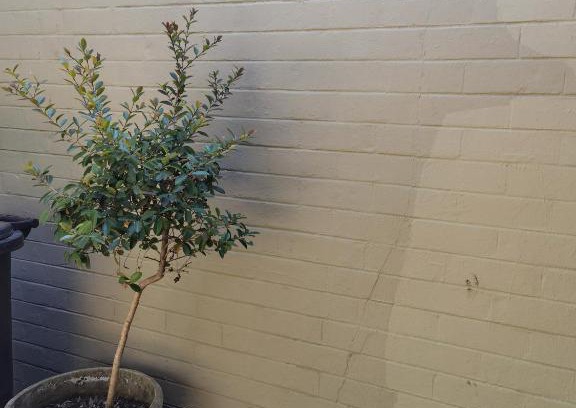 Greater Johannesburg Metropolitan Area Apartamento | Morning rush