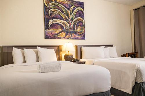 San Salvador Hotel | Morrison Hotel San Salvador