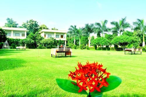 Sawai Madhopur Hotel | Motibagh