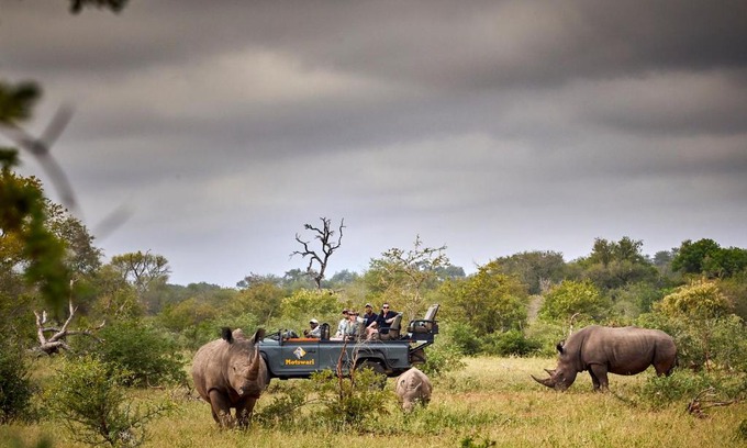 Kruger National Park Cabina | Motswari Private Game Reserve by NEWMARK
