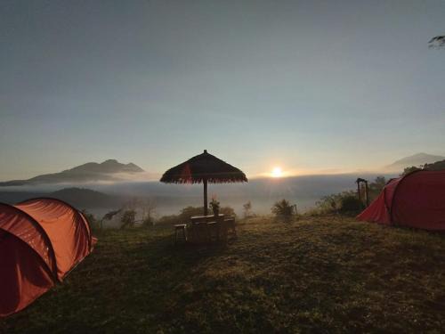 Kintamani Otro | Mount Batur Sunrise Trekking Stay Package in Kintamani Adventures