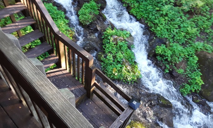 Roan Mountain Cabina | Cabaña de montaña con alta elevación con frente de arroyo y cascada