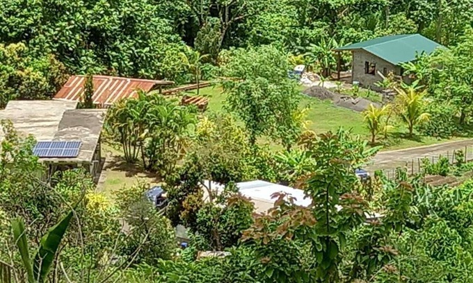 Georgetown Cabaña | Mountain Cottage surrounded by the native birds, the Amazona Guildingii