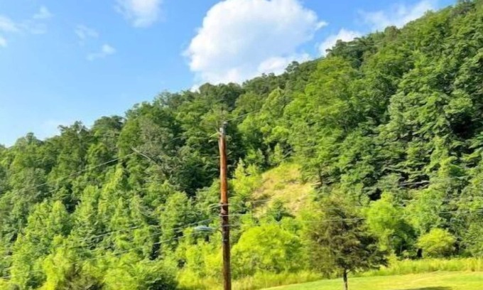 Chapmanville Apartamento | Mountain Heaven, beautiful mountains. Bearwallow trail is Chapmanville connector