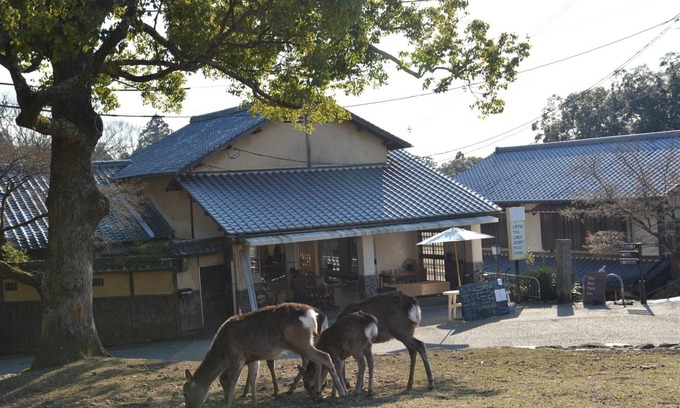 Nara Apartamento | Mountain Home Lodge in Deer Park