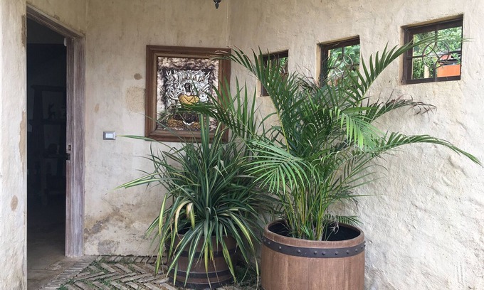 Oaxaca Casa | Casa de la Montaña. Ubicada en la zona Norte de la Ciudad de Oaxaca. Campirano .