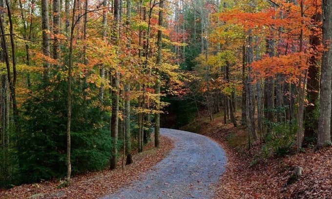 Lost River Casa | Mountain retreat! MODERN HOUSE 2 hours from DC