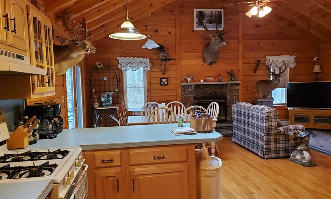 Equinunk Casa | Mountain sanctuary. 3 bedroom country getaway in the Poconos. 18+ acres