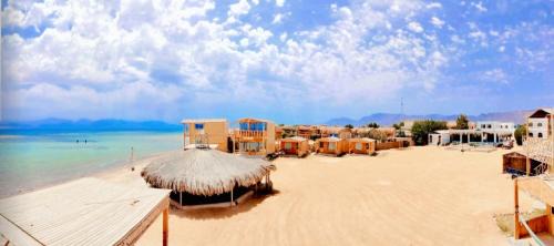 Wasit Otro | Mountain Sinai camp