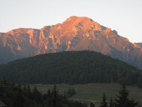 Rasnov Apartamento | Mountain view apartment Predeal