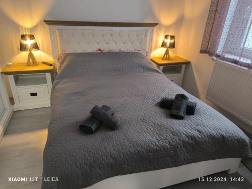 Baia Mare Apartamento | Mountain view