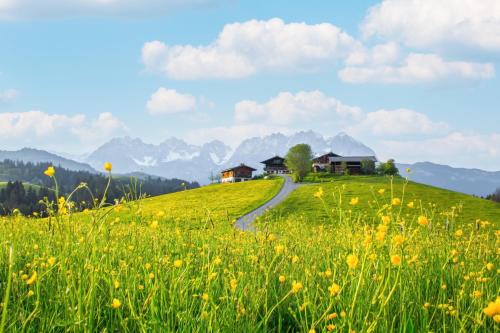 Kitzbuehel Apartamento | Mountain Vista - Bio Yoga Hof