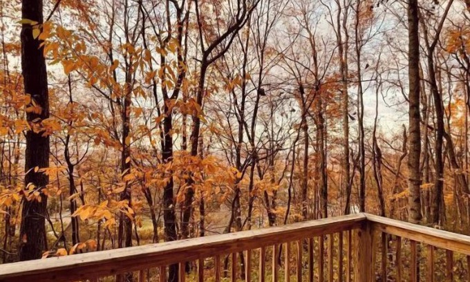 Knoxville Casa | Mountainside retreat 20 minutes from Downtown