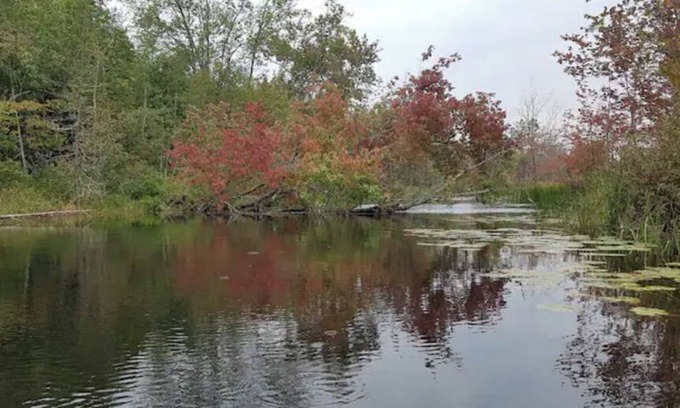 Tyendinaga Casa | Mozie Park - Your fun romantic destination