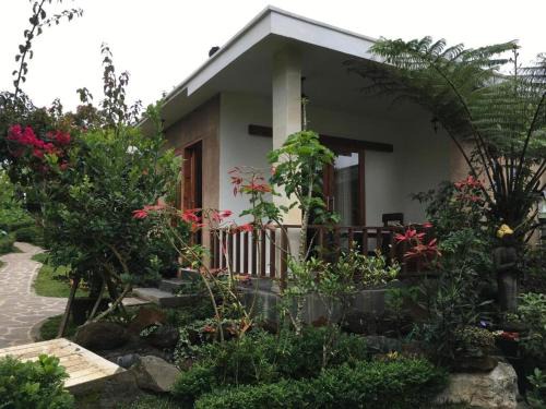 Munduk Casa | Munduk Garden