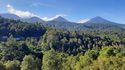 Munduk Casa | Munduk Twin Homestay