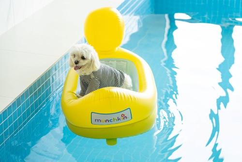Paeksajang Casa | Mungs Club Pet friendly Pool Villa