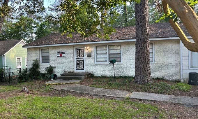 Tougaloo Casa | Mural House - Delightful 3 Br 2 Bath home in Fondren Area