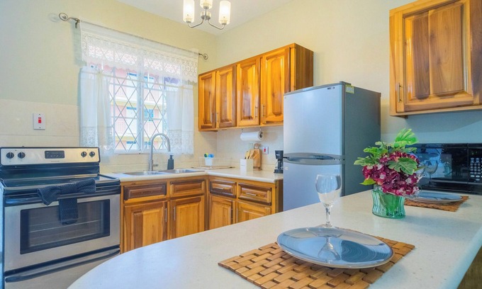 New Kingston Apartamento | Musgrave AnneX - Cozy apartment close to restaurants and entertainment