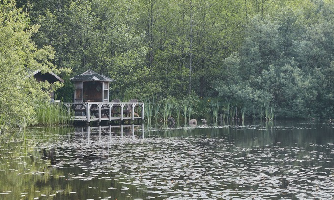 Glandyfi Cabina | Mushroom Yurt set in 4 Acres of Woodland and Lakes