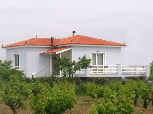 Skala Kallonis Casa | Mytilini House in Carpe Diem Villas & Houses