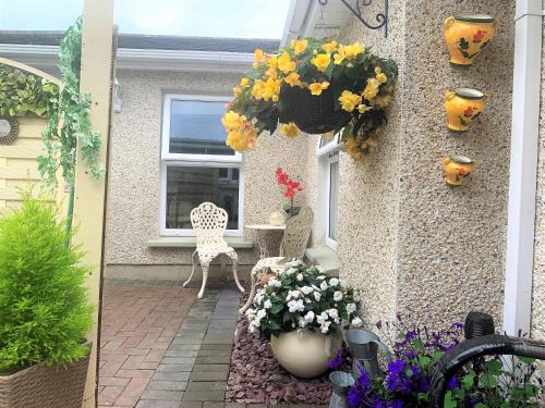 Naas Chalet De Esquí | Naas 2 Bedroom Back Garden Escape