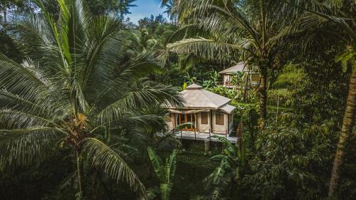 Penebel Otro | Nadi Nature Resort - Adults Only