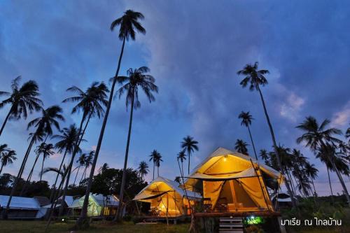 Ko Mak Complejo | Naivacha Tent Koh Mak