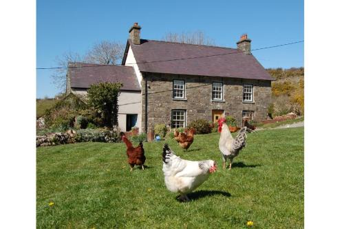 Llandysul Casa | Nantgwynfaen Organic Farm Wales