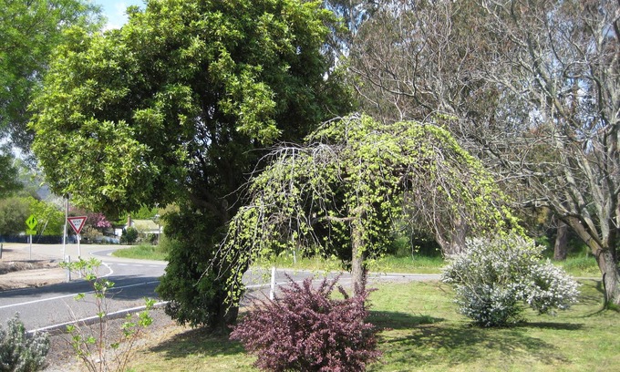 Whitfield Casa | Nathan's Place