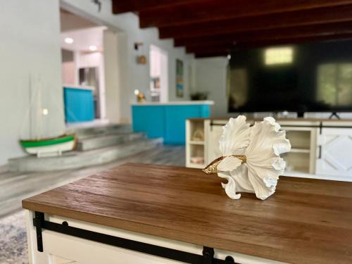 Great Exuma Casa | Natural Mystic Exuma