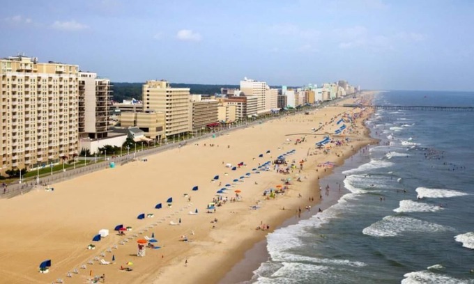 Northeast Virginia Beach Complejo | Nature Escape! Modish Unit, Beachfront, Pool