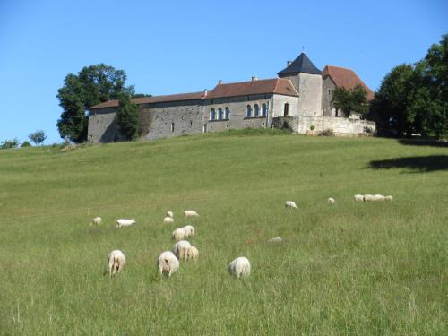 Tourtoirac Cama Y Desayuno | Nature et Piscine au sommet du Périgord