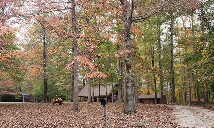 Fairview Cabina | Nature Lovers Paradise- Rustic Cabin on 2 acres with a creek!