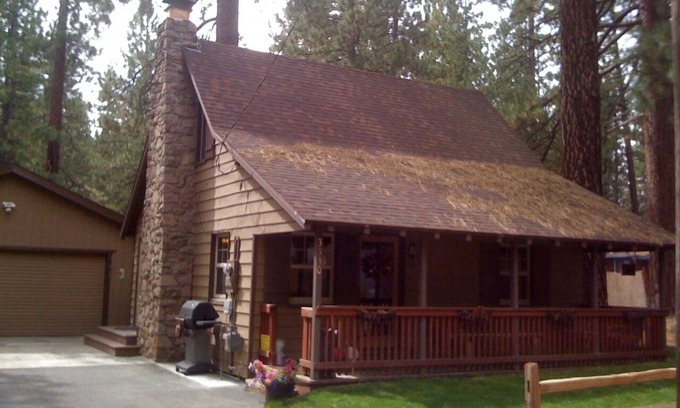 Bijou Pines Cabina | Naughty But Nice, Knotty-Pine Cabin