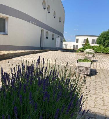 Dabas Casa | Nautilus Étterem és Panzió