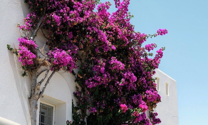 Kastraki Casa | Naxos Kastraki Homey Villa with Sea View