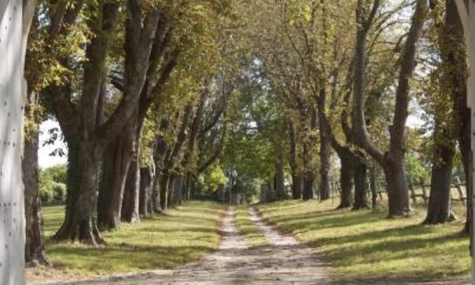 Saivres Otro | Near Niort: 16th Century Renaissance Castle (classified Ismh)