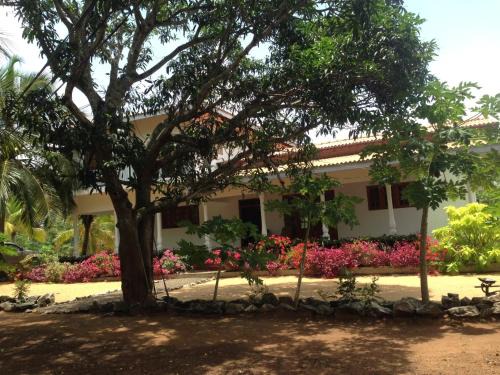 Pallama Casa | Neem Tree Villa