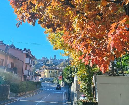 Bergamo Apartamento | Nelly Bergamo Apartments