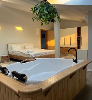Sighetu Marmatiei Apartamento | Nesto Rooms