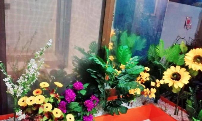 Lahore Hotel | New Doves Inn Hotel