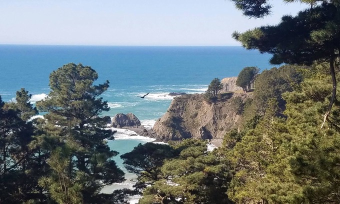 Albion Casa | NEW! Experience the awe-inspiring views over the rugged Pacific Ocean.