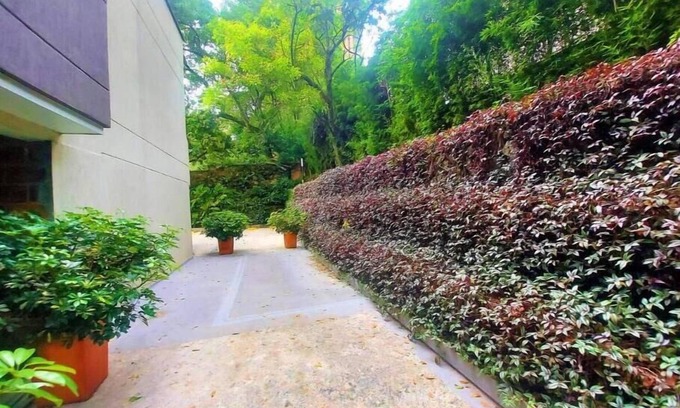 Buenos Aires Apartamento | NEW LISTING! Come and live at one enchanted place in Castropol, Medellin.