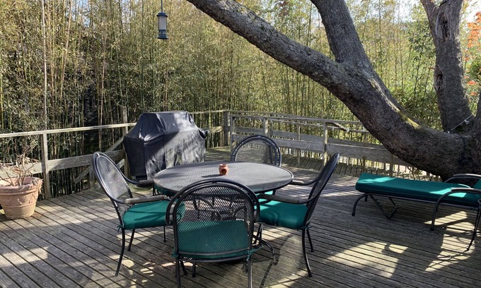 Fire Island Casa | NEW Listing! Light filled cozy cottage just minutes from everything!