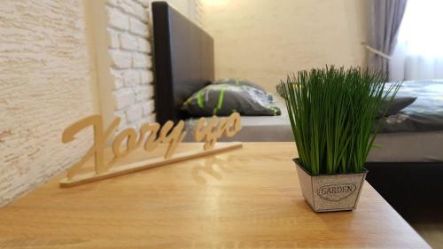 Kosuv Stary Apartamento | NEW Luxury Studio Apartment