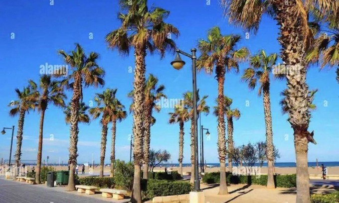 El Cabanyal Apartamento | NEW Penthouse at Beach/Cabañal/2 beds/3 baths.nJust 5 minutes from the beach.